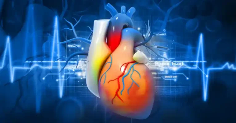 Magnesium Cardiovascular Health